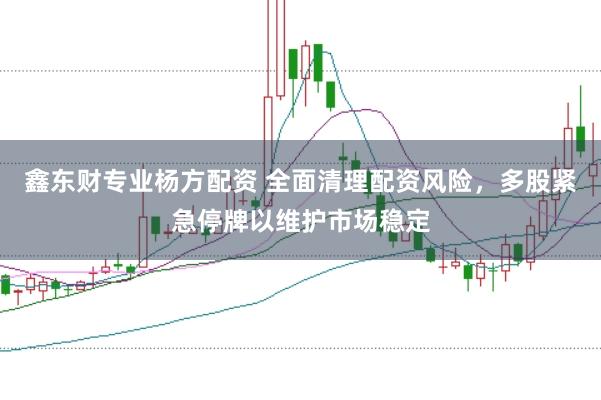 鑫東財專業楊方配資 全面清理配資風險，多股緊急停牌以維護市場穩定