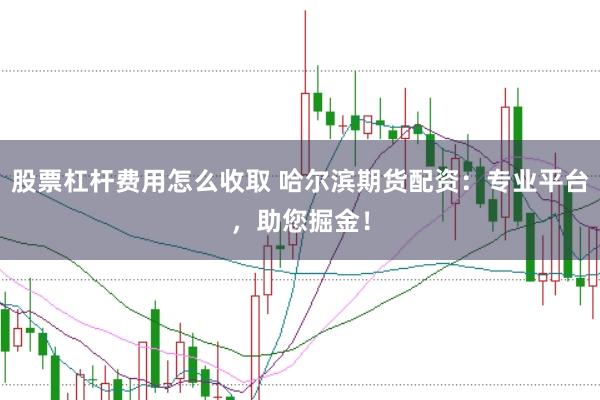 股票杠桿費用怎么收取 哈爾濱期貨配資：專業平臺，助您掘金！