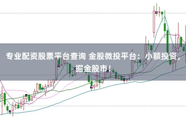 專業配資股票平臺查詢 金股微投平臺:小額投資,掘金股市!