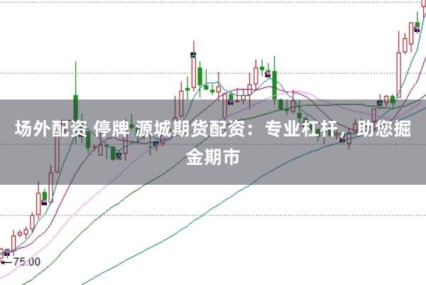 場(chǎng)外配資 停牌 源城期貨配資：專業(yè)杠桿，助您掘金期市