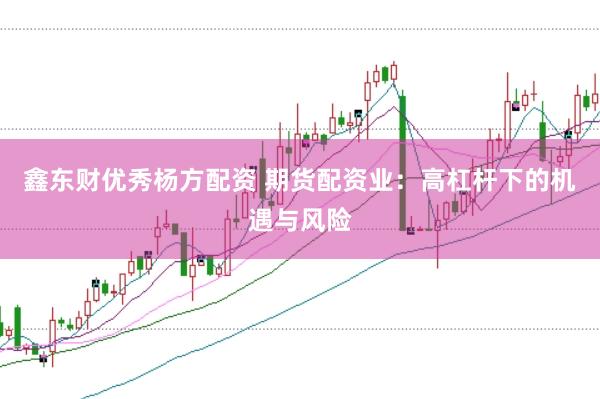 鑫東財(cái)優(yōu)秀楊方配資 期貨配資業(yè)：高杠桿下的機(jī)遇與風(fēng)險(xiǎn)