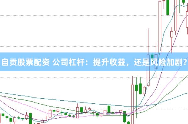 自貢股票配資 公司杠桿：提升收益，還是風險加劇？