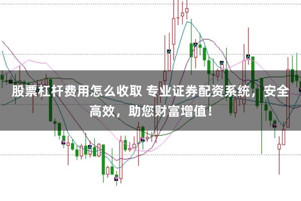 股票杠桿費(fèi)用怎么收取 專業(yè)證券配資系統(tǒng),安全高效,助您財富增值!